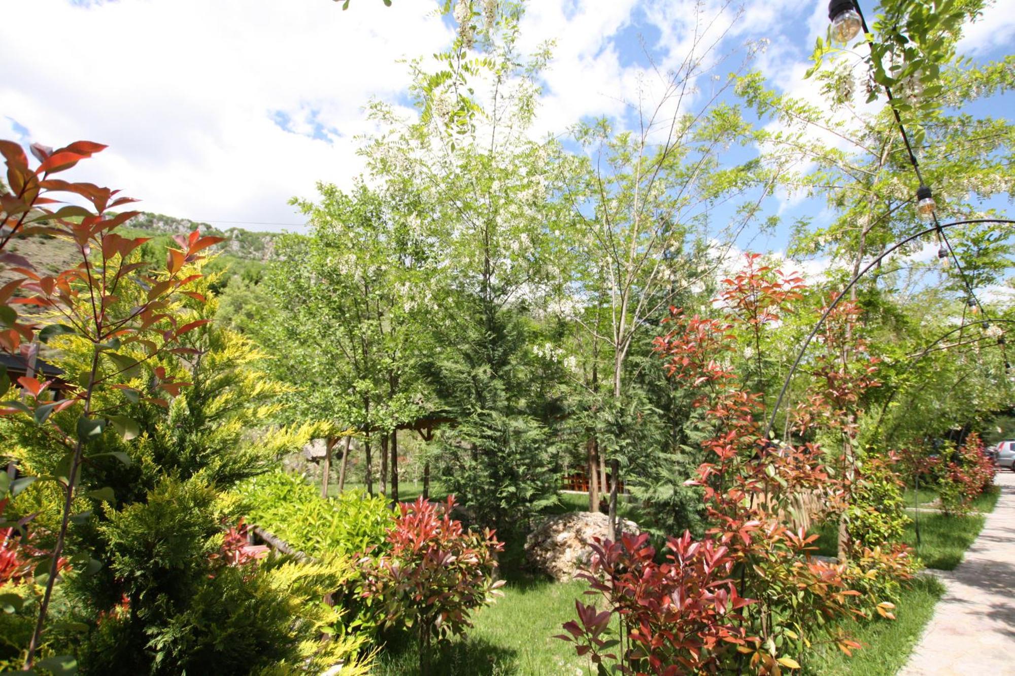 Lugina E Shengjergjit ,Bujtinat Villa Tiran Dış mekan fotoğraf